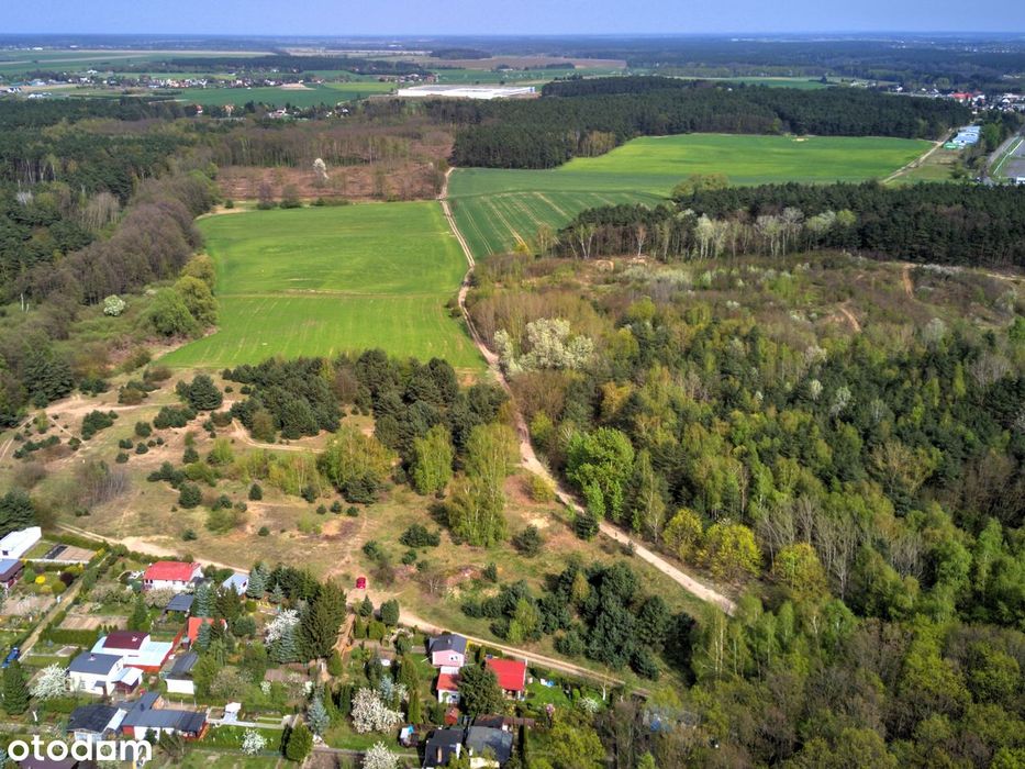 9943 m² z MPZP (20%) - idealna dla inwestora / developera. Przy lesie. - Widok 5