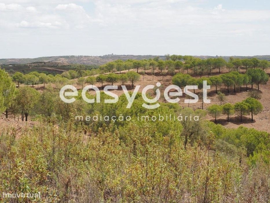 Terreno agrícola com pinheiros, oliveiras e sobreiros em Atalaias