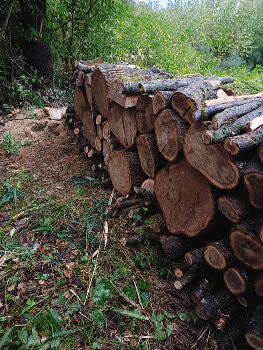Drewno kominkowe, DĄB,OLCHA,BRZOZA OKAZJA!