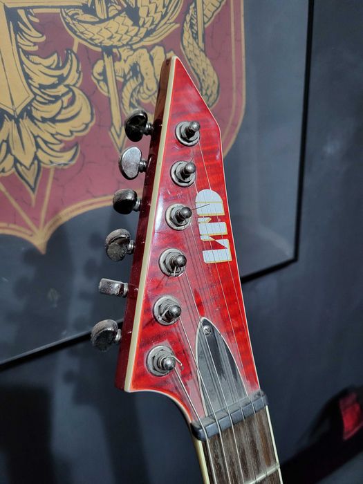 ESP ltd V-401 FM