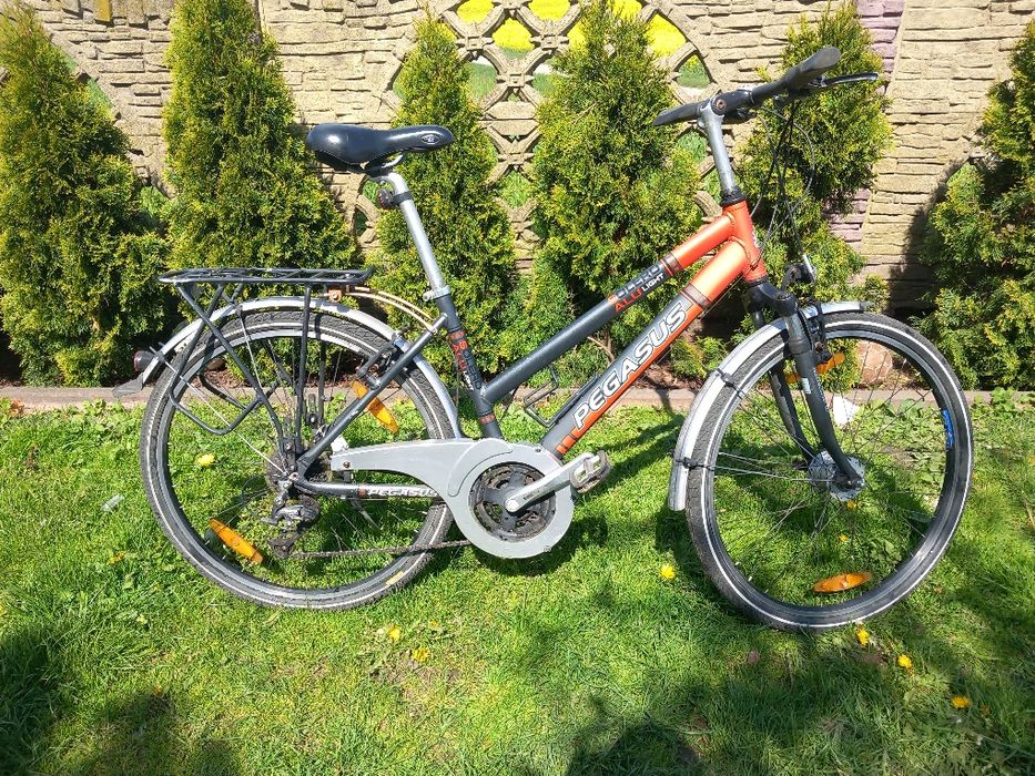 Rower Pegasus 26"