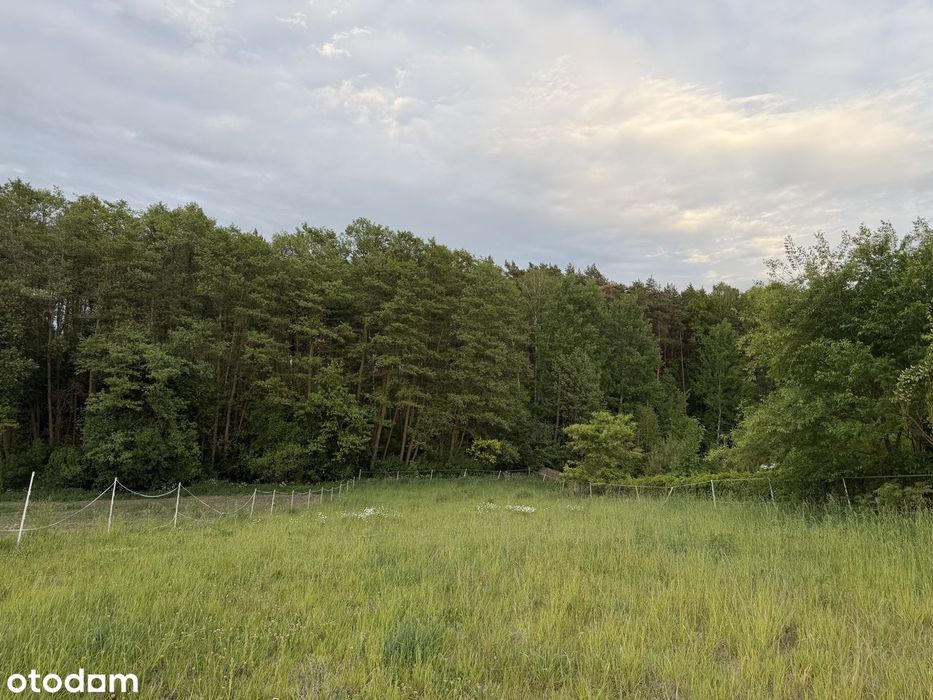 Działka z WZ 3000 m² w malowniczej spokojnej okolicy - Widok 5