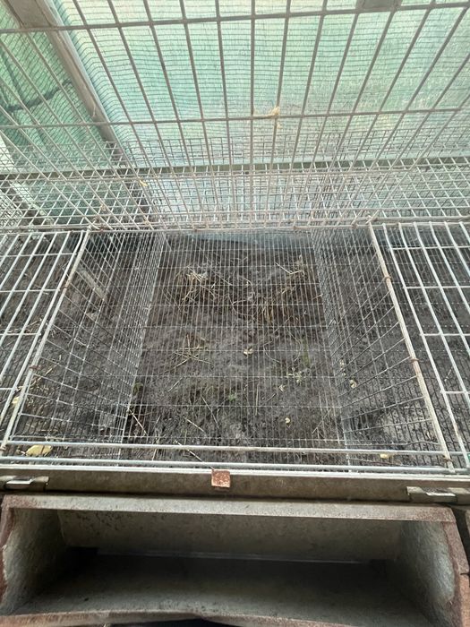 Vendo gaiolas para coelhos de engorda e maternidade