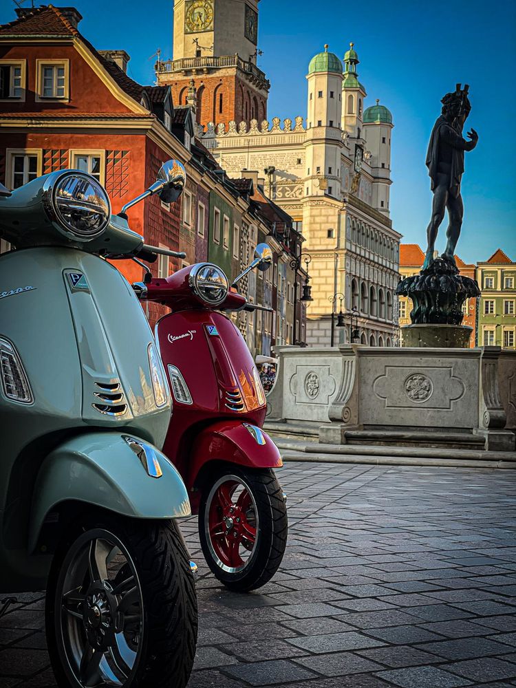 business-site-gallery-photo