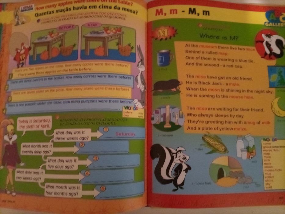 Livro English junior n°12