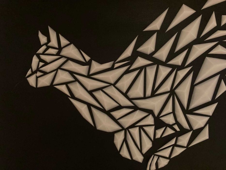 Quadro Preto e Branco com Gato Fluorescente (80x60 cm)