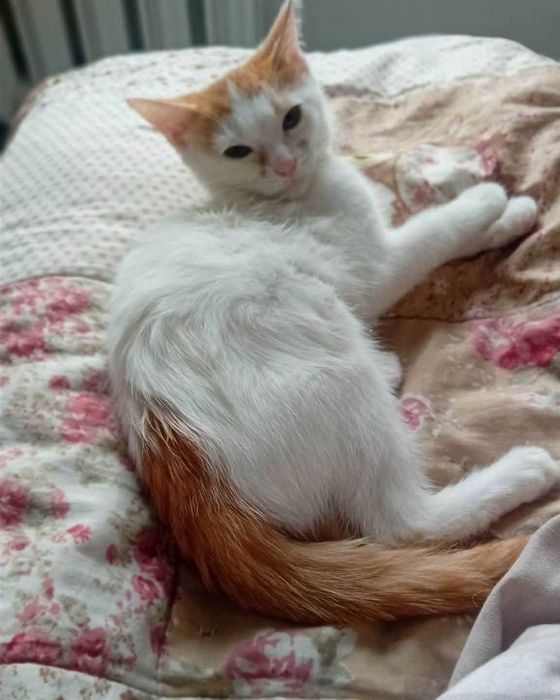 3 mies. Sephora poleca się do adopcji!
