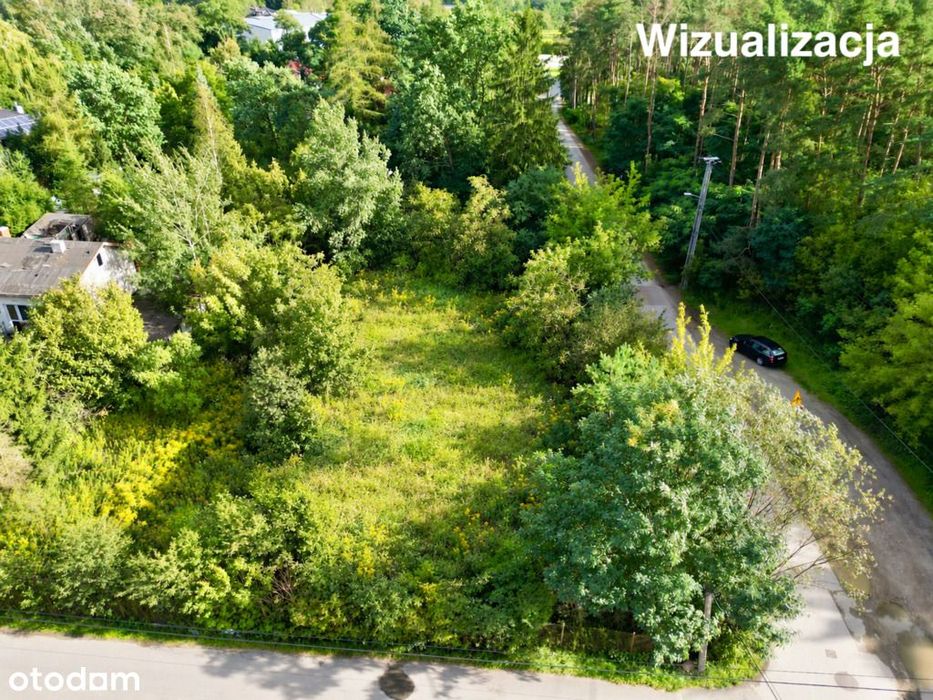 982 m² w Wolicy | las naprzeciwko | media | S8 - Widok 5