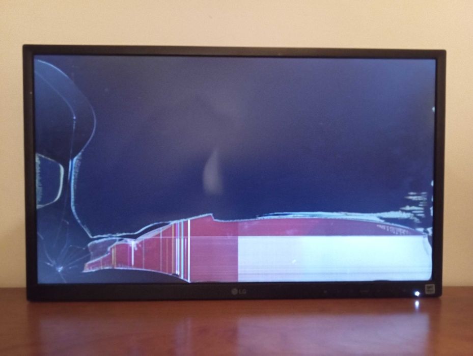 Monitor LG LED IPS 24 polegadas - 24 BK550Y-B BL MU GA ( danificado )