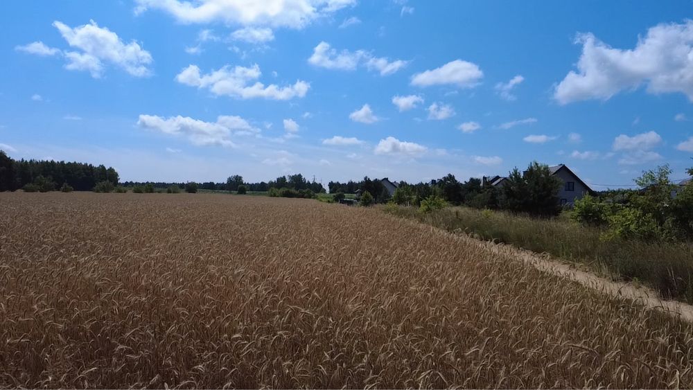 Sprzedam działkę przemysłowo-usługową w Jednorożcu (pow. Przasnyski, woj. Mazowieckie) - Widok 5