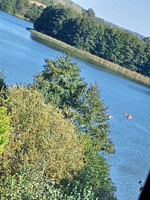 Zielony domek nad jeziorem