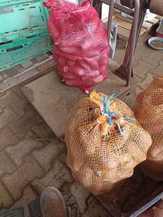 Batata doce lugar da estrada