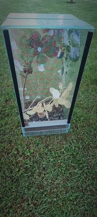 Terrarium dla małego zwierzaka