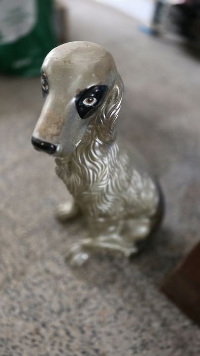 Cão de Loiça dourado