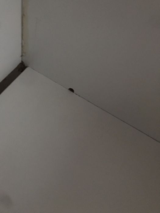 Стенка в гостиную