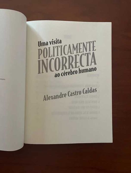 Uma Visita Politicamente Incorrecta ao Cérebro Humano