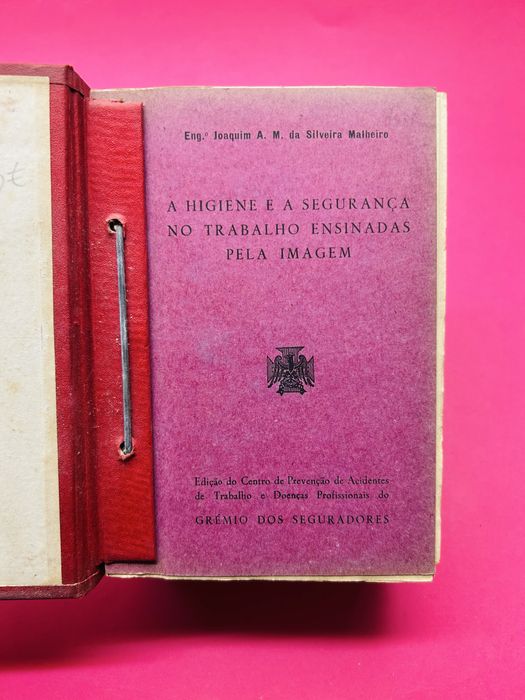 A HIGIENE E A SEGURANÇA NO TRABALHO ENSINADAS PELA IMAGEM