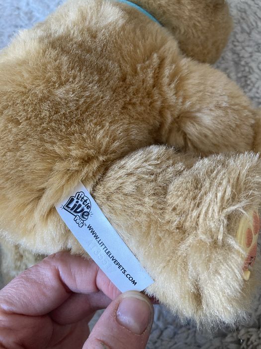 Zestaw dwóch interaktywnych piesków