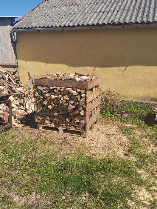 Sprzedam drzewo mieszane