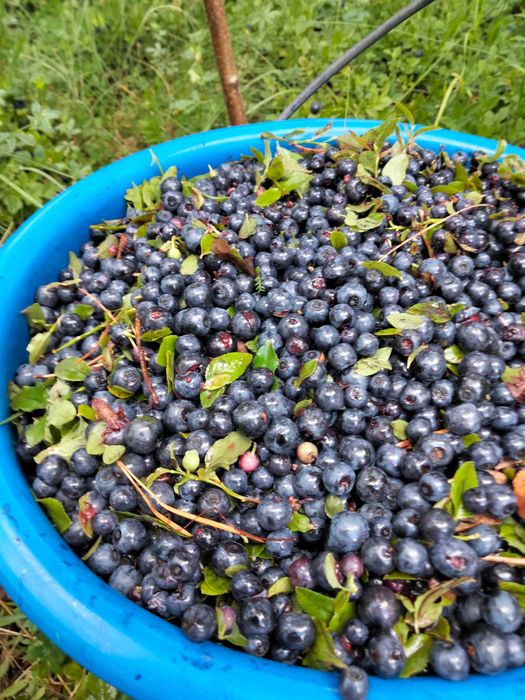 Житло для жінки пенсійного віку