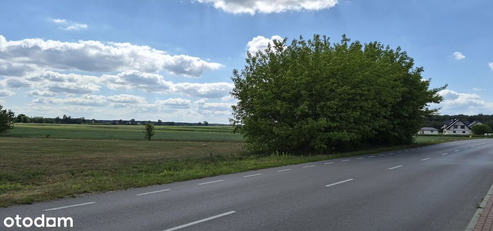 Atrakcyjne działki budowlane o powierzchni 1117 m² oraz 2124 m²
