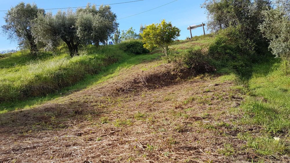 Terreno urbano em Montes de Verigo
