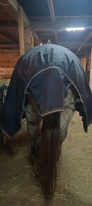 Derka 165cm thermomaster 300g jak nowa