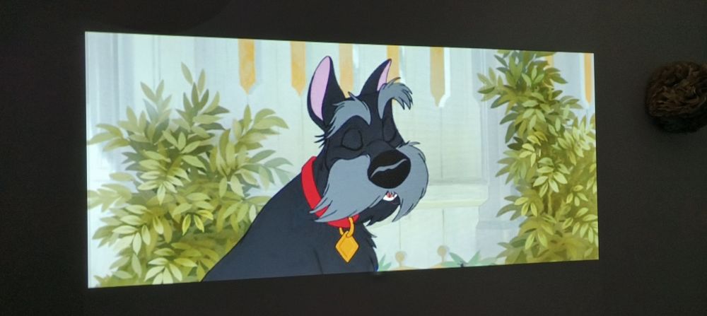 Rzutnik - Projektor multimedialny Benq