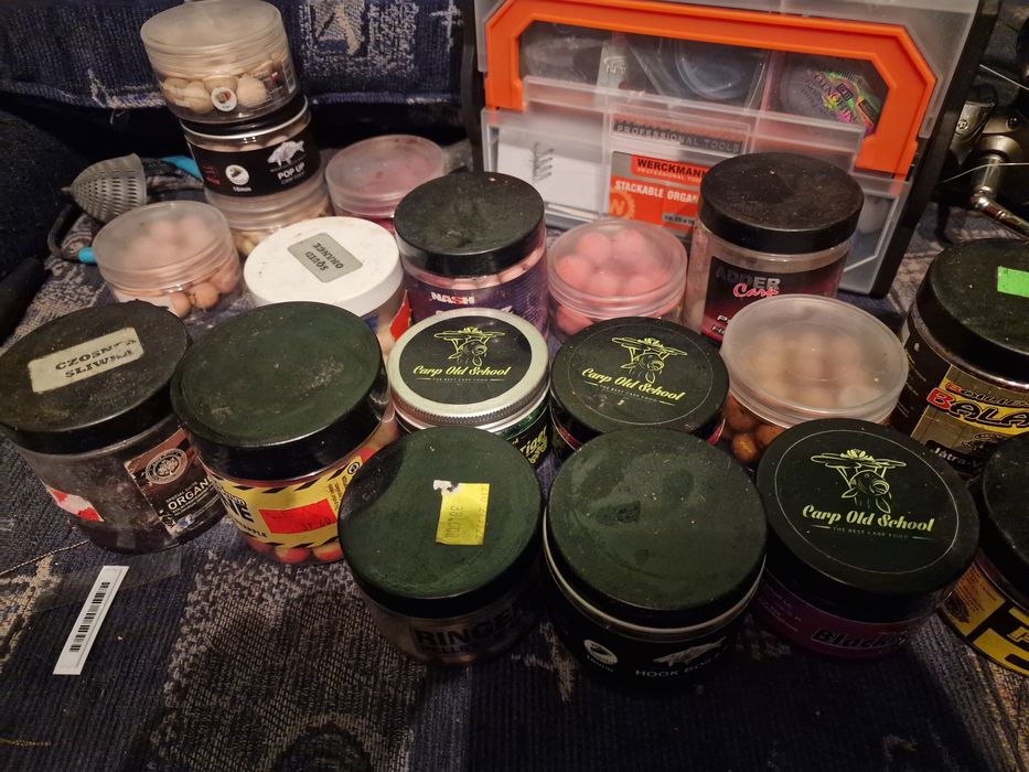 Kulki proteinowe na karpia