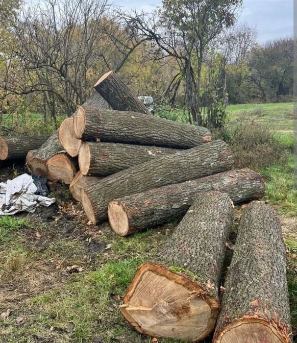 дрова колоті та чурки, дуба, берези, вільхи, мінімальна ціна, чесний об’єм, доставка і вигрузка безкоштовні 1/12 м3