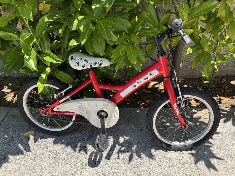 Bicicleta criança R16