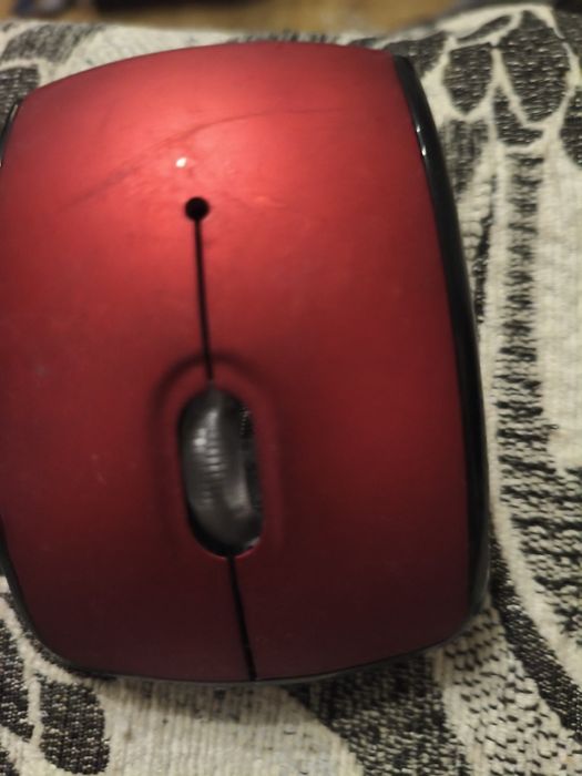 Ялинка на новорічне свято