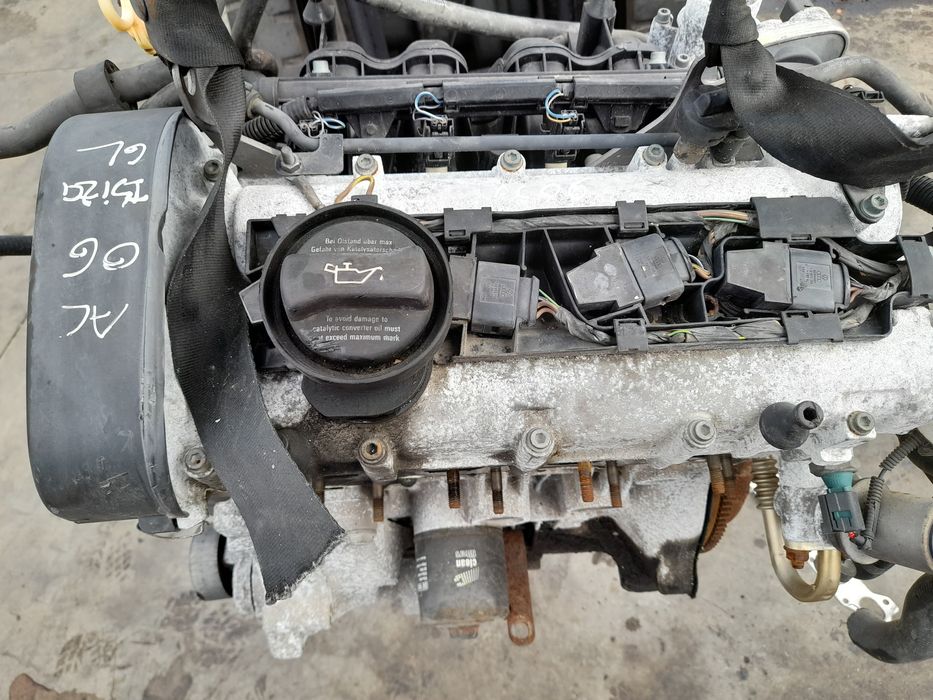 Motor completo SEAT Ibiza III (6L1)