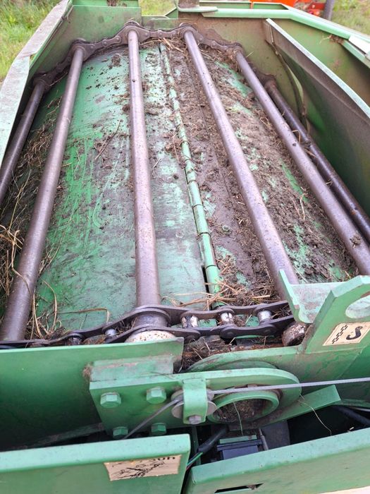 Sprzedam prase sipma z279/1