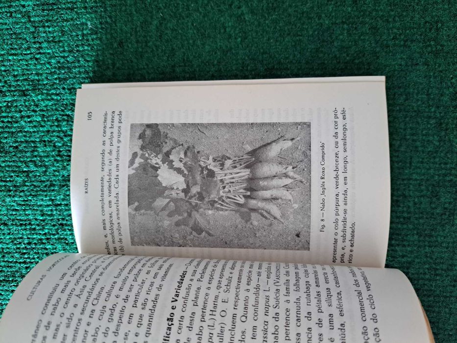 Culturas Hortícolas - Alberto Gardé e Nydia Gardé