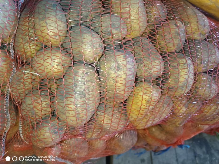 Картопля по Місту Суми