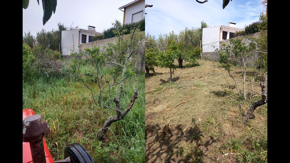 Limpeza de Terrenos