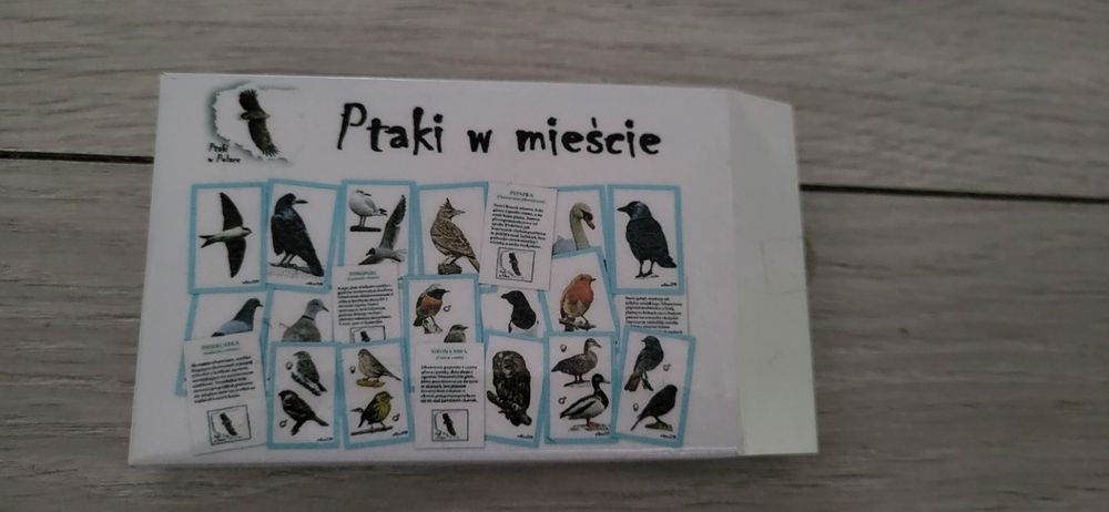 Karty Ptaki w mieście