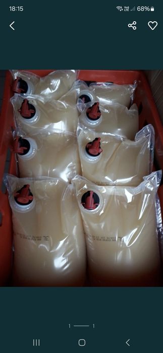 Sok z owoców pigwowca japońskiego