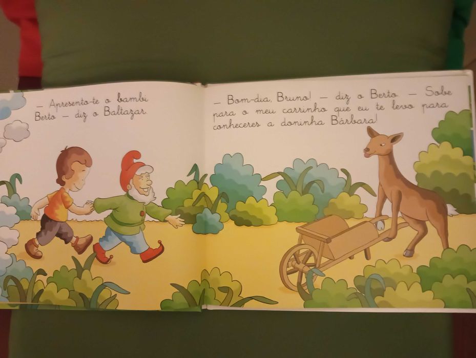 B de Bruno – Livro de Histórias e Letras do Abecedário