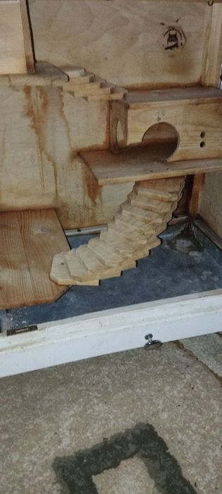 Клетка витрина для грызунов обмен