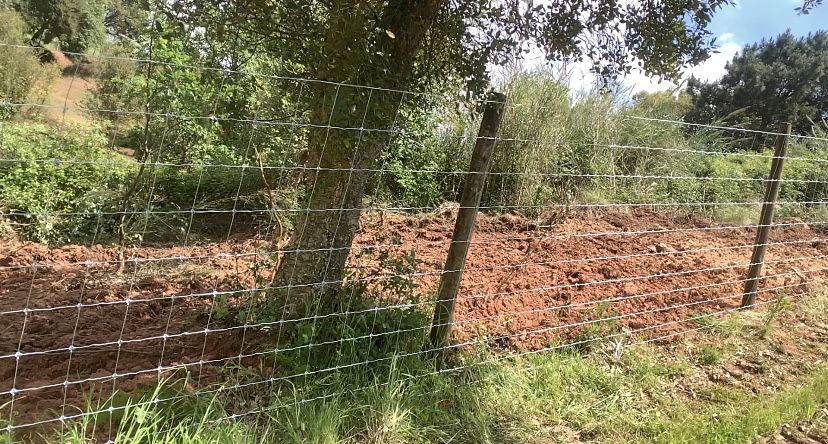 Vedacao de propriedade