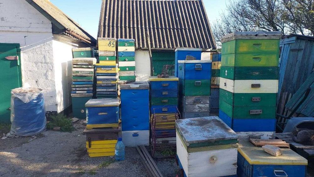 Продам вулики і все що треба для пасіки