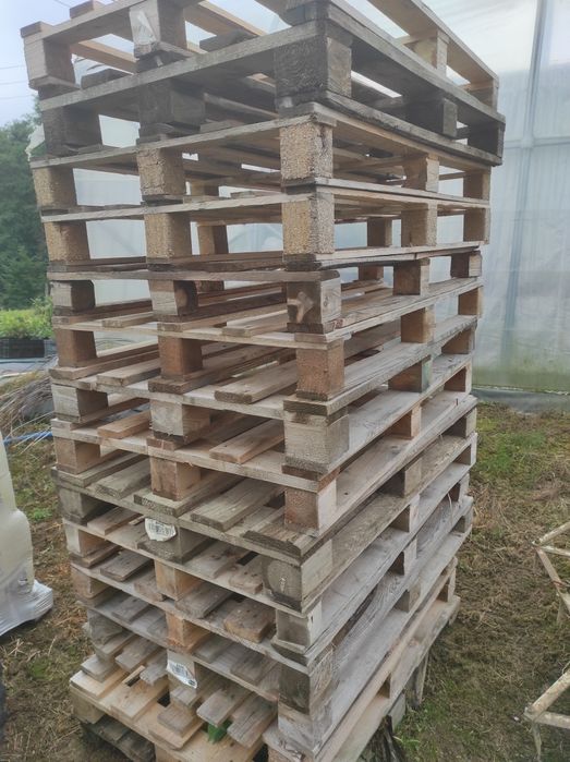 30 palet drewnianych