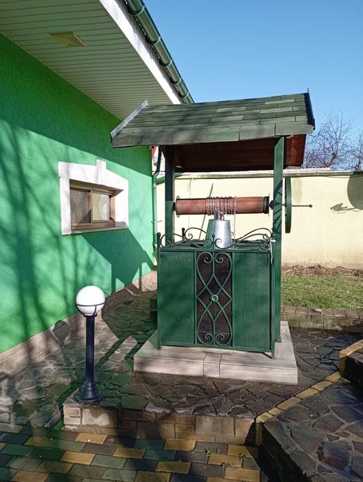 Дім 200 м2 ділянка 12 сотин Берегово Виноградна