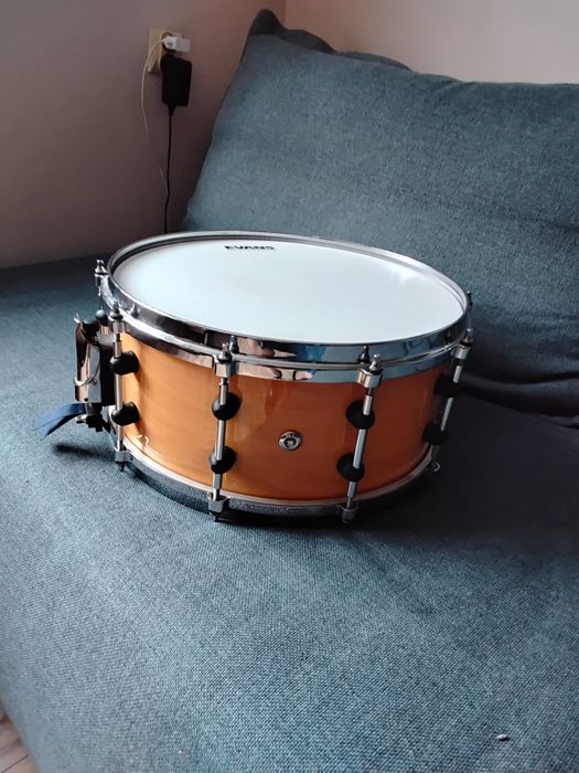 Werbel RMV Bapeva 14x6,5" | Evans | Aquarian | Pearl + case