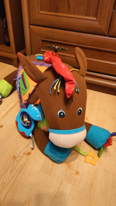 Konik edukacyjny Tony