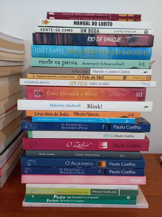 Livros - várias temáticas - baratos