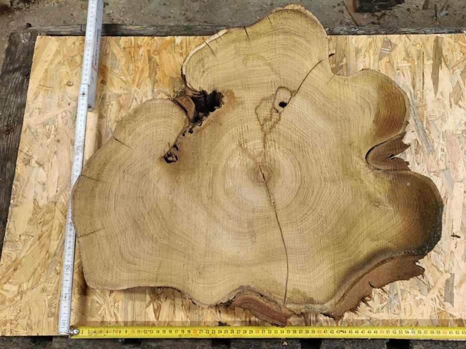 plastry plaster drewna akacja