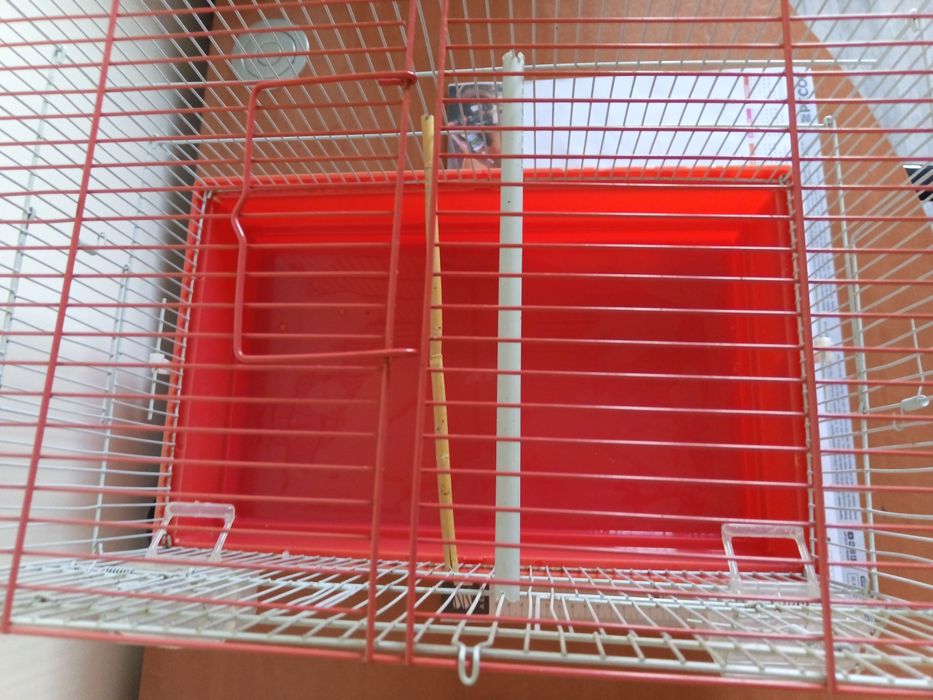 Gaiola para pássaros mais 2 comedouros/bebedouros incluídos no preço